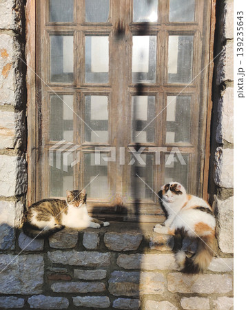 Two cats sunbathing on a rustic stone window sill in Turkey Two cats sunbathing on a rustic stone window sill in Turkey 139235643