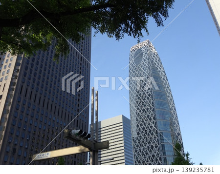 新宿副都心~高層ビル・摩天楼 新宿副都心~高層ビル・摩天楼 139235781