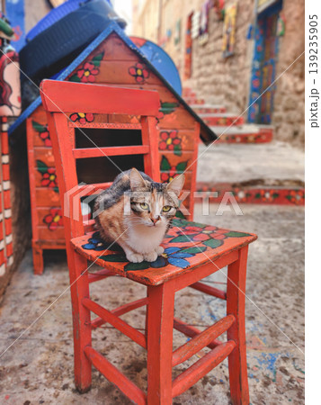 Calico cat sitting on a hand-painted red wooden chair in Mardin 139235905