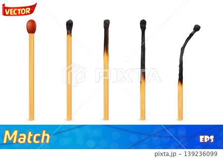 wooden burned and extinct match vector illustration 139236099
