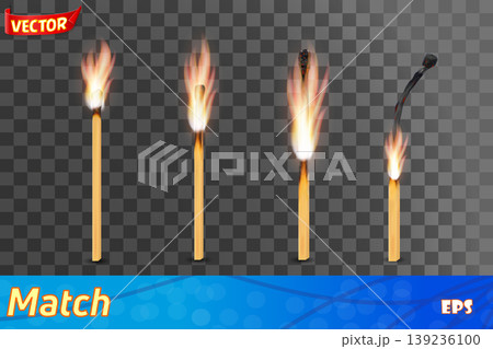 wooden burned and extinct match vector illustration 139236100