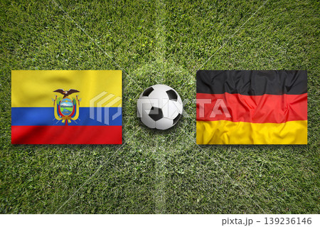Ecuador vs. Germany flags on a soccer field Ecuador vs. Germany flags on a soccer field 139236146