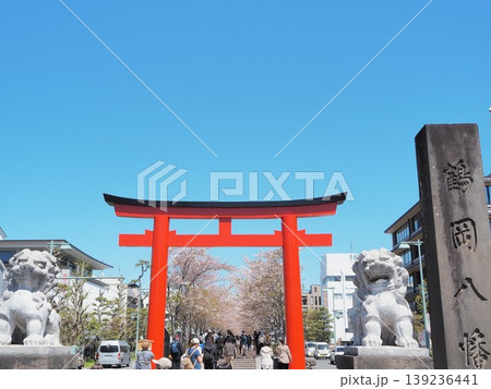 神奈川県 二の鳥居と段葛の桜並木 4月 神奈川県 二の鳥居と段葛の桜並木 4月 139236441