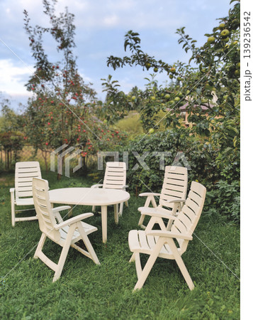 Outdoor seating area in a lush apple orchard in Ukraine Outdoor seating area in a lush apple orchard in Ukraine 139236542