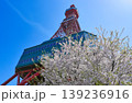 さっぽろテレビ塔と桜 139236916