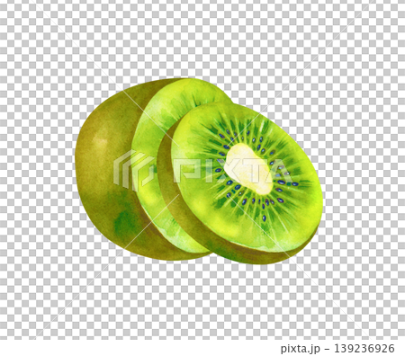 A hand-made watercolor illustration depicting a half of a kiwi fruit with a fresh round slice adjacent to it. Highlighted on a white background. Ideal for organic food packaging, juice labels, healthy A hand-made watercolor illustration depicting a half of a kiwi fruit with a fresh round slice adjacent to it. Highlighted on a white background. Ideal for organic food packaging, juice labels, healthy 139236926