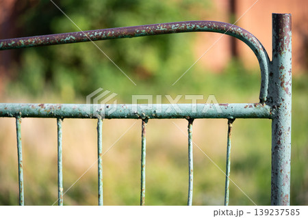 old rusty metal gate with cracked paint old rusty metal gate with cracked paint 139237585