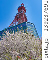 さっぽろテレビ塔と桜② 139237691