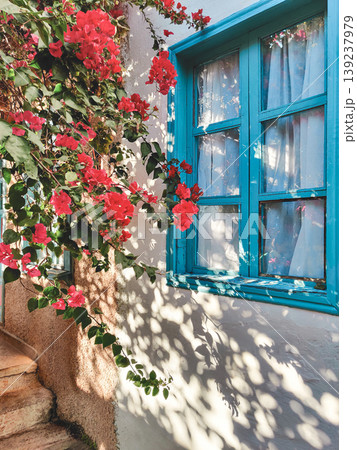 Traditional blue window frame with blooming bougainvillea in Turkey 139237979