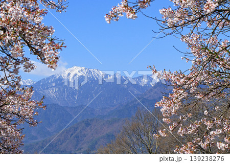 信濃大町の春 桜と残雪の北アルプス 信濃大町の春 桜と残雪の北アルプス 139238276