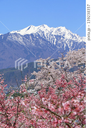 信濃大町の春 桜と残雪の北アルプス 信濃大町の春 桜と残雪の北アルプス 139238357