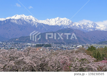 信濃大町の春 桜と残雪の北アルプス 信濃大町の春 桜と残雪の北アルプス 139238505