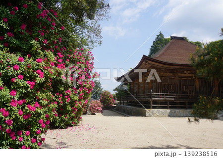 岡山県美咲町にある天台宗のお寺「本山寺」:石楠花の咲く頃 岡山県美咲町にある天台宗のお寺「本山寺」:石楠花の咲く頃 139238516