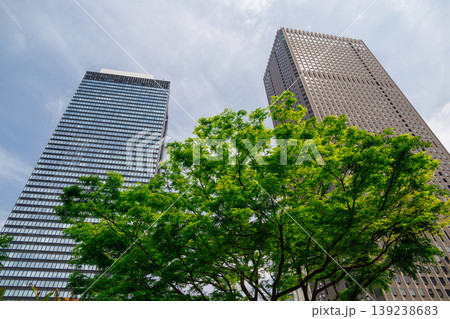 緑の多いオフィス街の風景 139238683