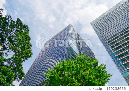 緑のあるオフィス街の風景 139238686