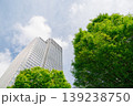 緑の多いオフィス街の風景 139238750