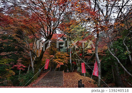 秋の石龕寺 139240518