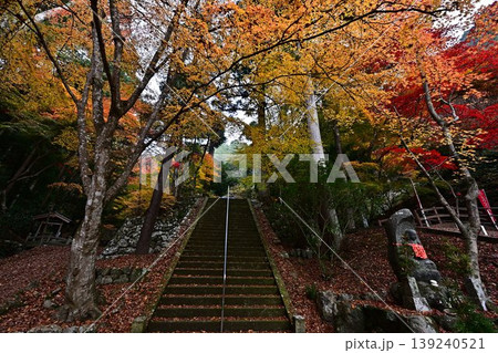 秋の石龕寺 秋の石龕寺 139240521