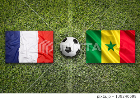 France vs. Senegal flags on a soccer field France vs. Senegal flags on a soccer field 139240699