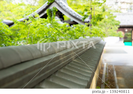 新緑に包まれた参道にある瓦塀の瓦 新緑に包まれた参道にある瓦塀の瓦 139240811
