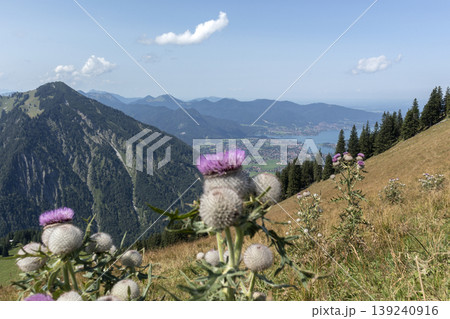 Tegernsee lake,  Bodenschneid mountain tour in springtime, Bavaria, Germany 139240916