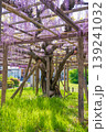 藤棚のある公園 139241032