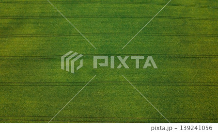 High up aerial view of beautiful agricultural field at daytime High up aerial view of beautiful agricultural field at daytime 139241056
