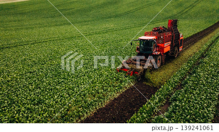 Red colored machine. Aerial view of beet harvester on the green agricultural field 139241061