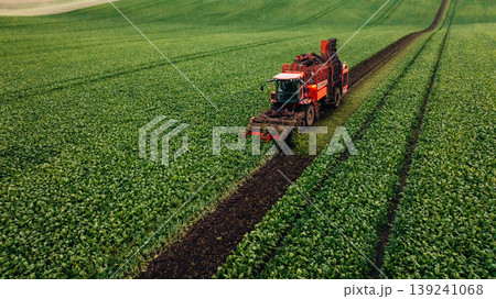 Aerial view of beet harvester on the green agricultural field Aerial view of beet harvester on the green agricultural field 139241068