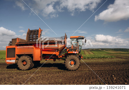 Beet harvester is on the agricultural field at daytime Beet harvester is on the agricultural field at daytime 139241071