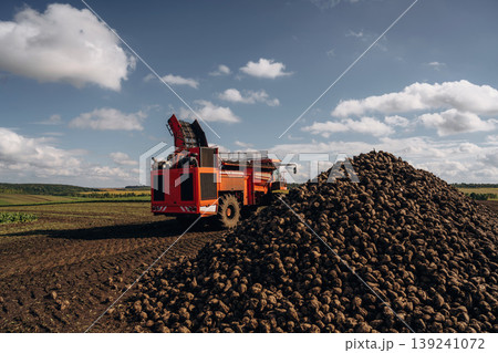 A lot of vegetables, raw food. Beet harvester is on the agricultural field at daytime A lot of vegetables, raw food. Beet harvester is on the agricultural field at daytime 139241072