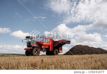Beet harvester is on the agricultural field at daytime Beet harvester is on the agricultural field at daytime 139241077