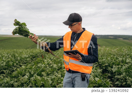 In orange colored uniform. Male farmer is standing and holding beet on the agricultural field 139241092