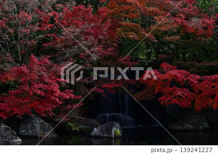 秋の好古園 秋の好古園 139241227