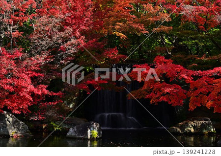 秋の好古園 秋の好古園 139241228
