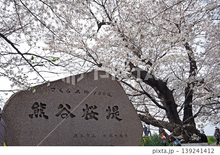 熊谷桜堤（埼玉県熊谷市） 139241412