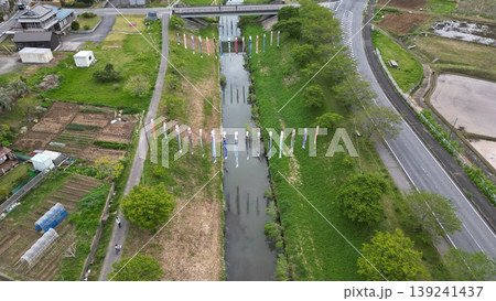 瀬又の鯉のぼり 瀬又の鯉のぼり 139241437