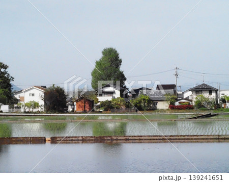 田植えの終わった春の香長平野(広域農道の通る水田のある風景) 田植えの終わった春の香長平野(広域農道の通る水田のある風景) 139241651