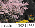 トンネルを抜けると桜と菜の花が出迎えてくれました＜錦川鉄道＞ 139241768