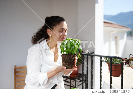 Woman Smelling Potted Basil On Sunny Balcony While Gardening At Home Woman Smelling Potted Basil On Sunny Balcony While Gardening At Home 139241876