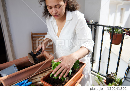 Woman Planting Basil in Balcony Planter Pot While Gardening on Sunny Urban Terrace Woman Planting Basil in Balcony Planter Pot While Gardening on Sunny Urban Terrace 139241892