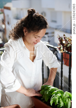 Woman Gardening On Balcony Planting Basil In Urban Container Garden During Sunny Day Woman Gardening On Balcony Planting Basil In Urban Container Garden During Sunny Day 139241903