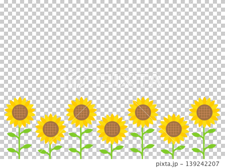 Sunflower (Himawari) copy space illustration background material Sunflower (Himawari) copy space illustration background material 139242207