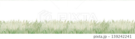 Horizontal seamless border of lush green grass. Watercolor illustration with soft transitions on an isolated background. Ideal for website footers, spring greeting cards, eco-friendly packaging 139242241