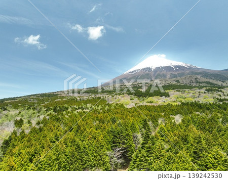 新緑の富士山麓、初夏をドローンで空撮 新緑の富士山麓、初夏をドローンで空撮 139242530