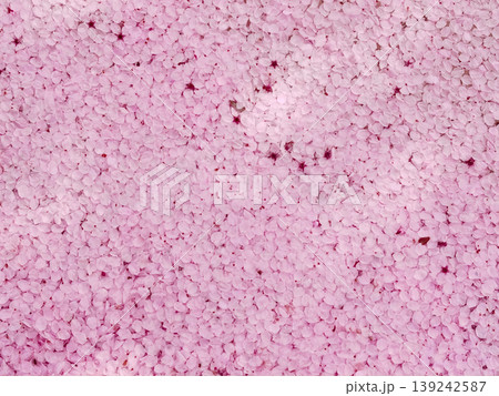 Pink petals backgrounds 139242587