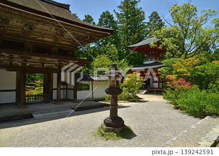 奈良　円成寺　多宝塔と楼門 139242591