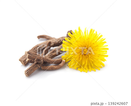 Dandelion flower with dandelion roots on white backgrounds Dandelion flower with dandelion roots on white backgrounds 139242607