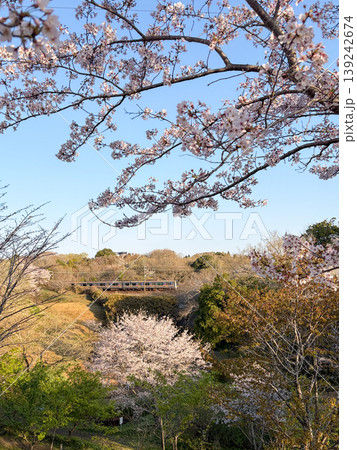 桜に囲まれた里山を走る成田線 桜に囲まれた里山を走る成田線 139242674