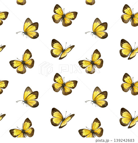 Seamless pattern of yellow and brown butterflies. Hand-painted watercolor of ixias flavipennis butterflies. Perfect for fabric, wallpaper, wrapping paper, stationery and spring designs Seamless pattern of yellow and brown butterflies. Hand-painted watercolor of ixias flavipennis butterflies. Perfect for fabric, wallpaper, wrapping paper, stationery and spring designs 139242683